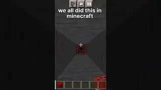 We all did this in minecraft | 