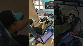 F1 на Fanatec в Assetto corsa