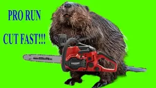 pro run saw first run and thoughts