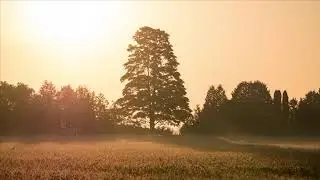 Devotional “Morningtide” | Celtic Worship
