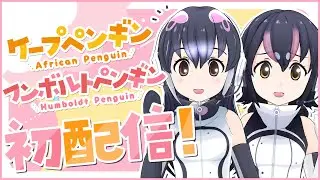 【#ケープフンボルト初配信】はじめまして！ジャパリパークからきたVTuberです！【新人VTuber】