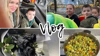 Прислали черные розы😱 Встречаем свекровь/ Гуляем с братом/ Любимая еда/ Влог Silena Sway