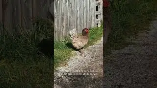 #сантамагдалена