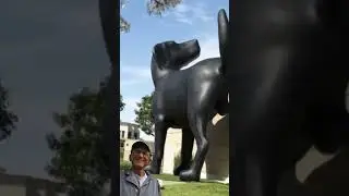 Hangi çılgın, duvarına 10 metrelik bir köpeğin işemesini ister?