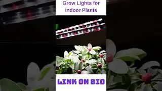 Where has this been?Lights for Indoor Plants #amazonhaul #gardening #plants #shorts #amazonmusthaves