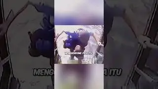 The bus driver carried the man up