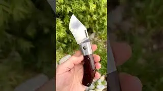 Franck Souville / Tashi Bharucha   SUPER BAD Slip Joint