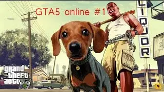GTA5 online #1