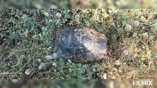 FARSAKLAR DİYARI KOZAN DAĞI'NDAN GÖRÜNTÜLER.