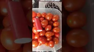Утренний урожай томатов черри!
