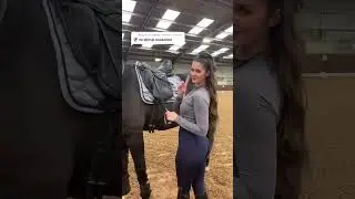 No stirrup no saddle November