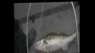 Дом Рыбака - первый зачетный 2011.mpg