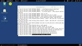 How to connect TOR at Tails 5.4 OS, when TOR is blocked, using VPN and OpenVPN package
