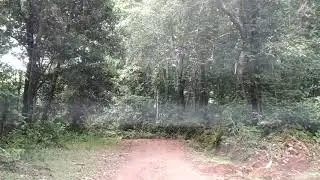 Off-Road to Sirimane Falls - Sringeri