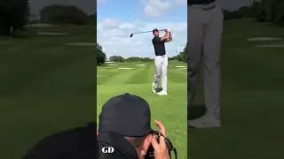 That’s one brave photographer 😳