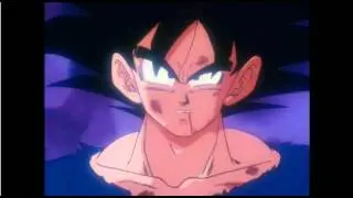 TFS: Why Are You Naked Vegeta?