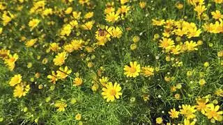 relax music  meditation music relax mind body 2021#youtube #relax #trending #love #game