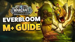 EVERBLOOM M+ DUNGEON GUIDE (Dragonflight Season 3)