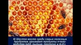 Опасное и здоровое питание - скрытые факты.mpg