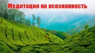 Медитация на осознанность.
