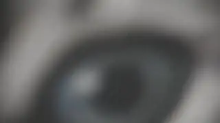 Macro photography - Cat's Eye / Mug