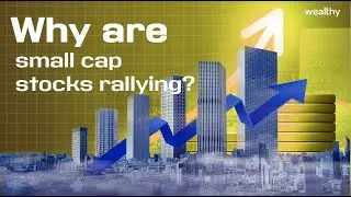 Why are Small Cap Stocks Rallying? | Small Cap Stocks | Wealthy