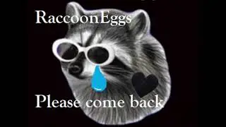 RaccoonEggs Please Come Back