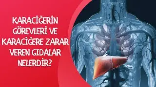 KARACİĞERİN GÖREVLERİ VE KARACİĞERE ZARAR VEREN GIDALAR NELERDİR?