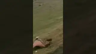 #Советское