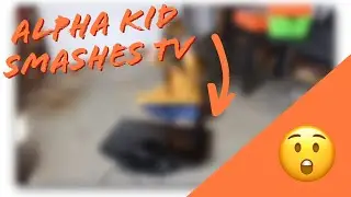 Generation Alpha Kid Smashes TV