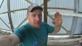 ❗❗❗Бармалей ибн Бармалей ❗❗❗