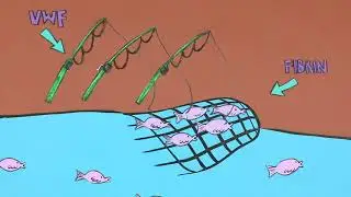 Fishing for platelets? | Type 1 von Willebrand disease explained