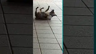 this was happening for 2 minutes