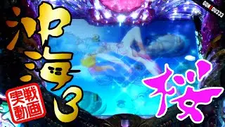 【実戦】あ～桜～～♪　CRスーパー海物語IN沖縄3桜ver.（ライト）
