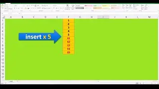 How to Insert a Row or Column in an Excel | How to insert or delete rows and columns