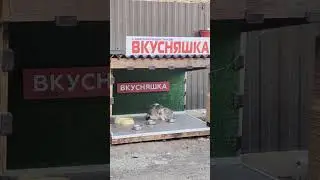 Яша 100500 раз в день заходит в кафе. Ему нравятся вкусняшки и сервис устраивает.