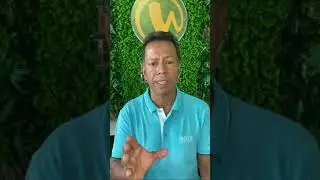 Питание будущей мамы | vnh.center