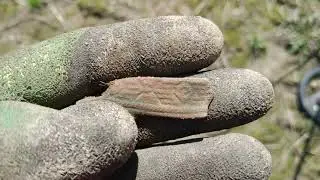 Поиск кладов и монет. Ищу на поле возле лужи (монеты есть).