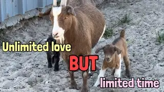 Unlimited love, but limited time