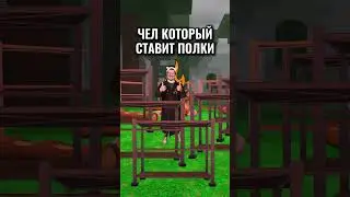 ЗАЧЕМ они везде СТАВЯТ ПОЛКИ в 