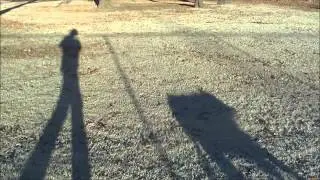 Walking the Shadow Dog