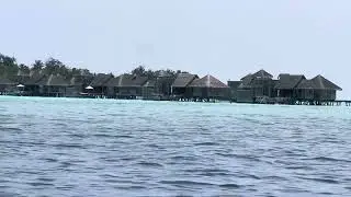 তুমি কি আসবে