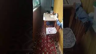 27 июня 2024 г.