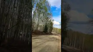 Highlight 0:00 - 3:04 from 🌸🌿Stunning spring beauty in Alaska 🌸❤️