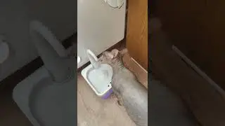 Краник для Ириски )))