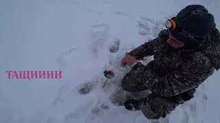 ХАРИУС! ДОНКИ ОПЯТЬ ВЫРУЧАЮТ!