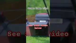 Green lawn tips. #grass #lawntips #lawncare