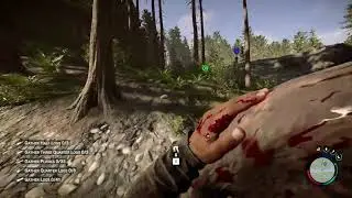 The Journey Begins - Sons Of The Forest