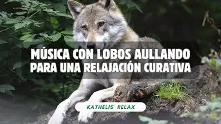Musicoterapia con Lobos Aullando para una Relajación Curativa del Estrés y la Ansiedad