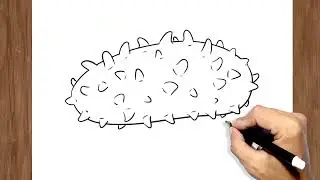 How to Draw Sea Cucumber